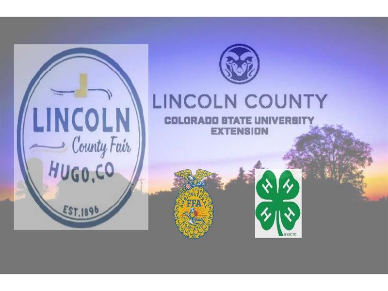 Logo for 2026 Lincoln County Fair
